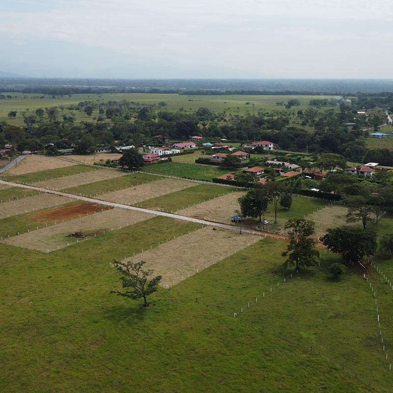 Altavista-Guamal-B2 Altavista Guamal Meta